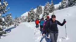 Snowshoeing In Alps