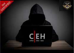 Best Online Ceh Institute In Jaipur