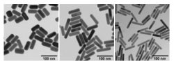 nanorods gold