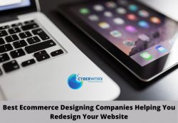 Best Ecommerce Designing Companies