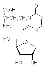 CAS 52745-94-5 3-(3-amino-3-carboxypropyl)uridine – RNA / BOC Sciences
