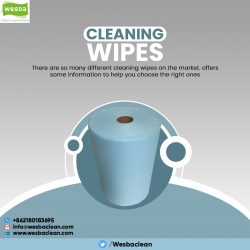 Cleaning Wipes