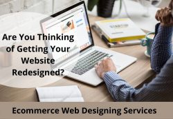 Affordable Ecommerce Web Designing Services