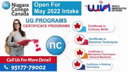 Niagara College – Open For May 2022 Intake UG Programs