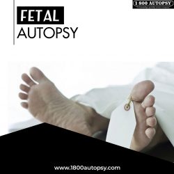 FETAL AUTOPSY