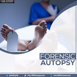 Forensic Autopsy