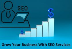 SEO Services Provider in Delhi