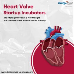 Heart Valve Startup Incubators