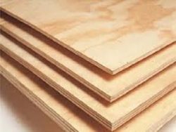 Shuttering Plywood