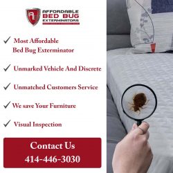 Affordable Bed Bug Exterminators