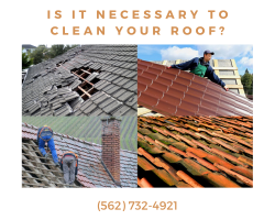 Is it necessary to clean your roof?