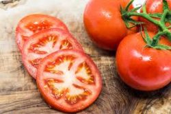 Tomatoes Specialist| John Deschauer