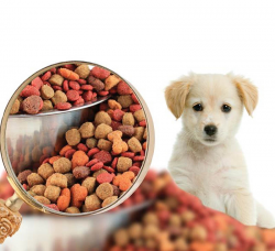 Pet Food Production Line