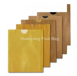 Yellow Mango Protection Bags