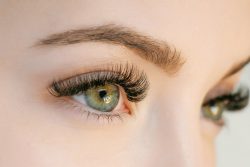 Is the eyelash industry a profitable business?