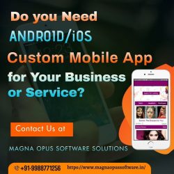 Custom Mobile App (Android/iOS) Development Services