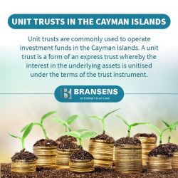 Expert Counsel for Cayman Trusts and Foundation Companies – Bransens