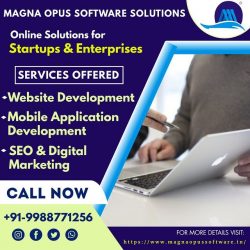 Online Solutions for Startups and Enterprises