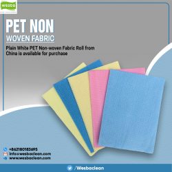 Pet Non Woven Fabric