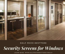 Security Screen for windows