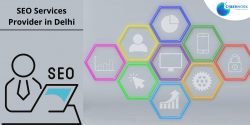 SEO Services Provider in Delhi