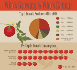 Rate of Growing and Consuming Tomato | John Deschauer