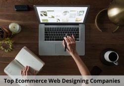 Top Ecommerce Web Designing Companies