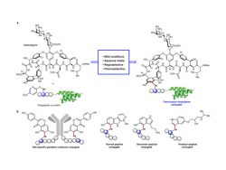 Human T-cell Lymphotropic Virus (HTLV) Antibodies and Antigens