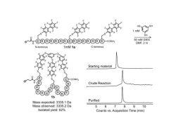 Neisseria gonorrhoea Antibodies and Antigens