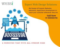 Expert Web Design Solution