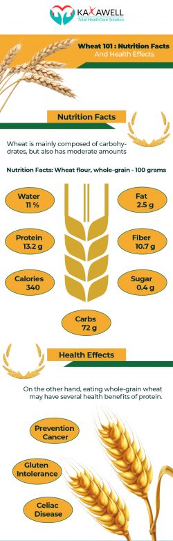 Protein in wheat flour