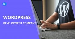 WordPress Development Company