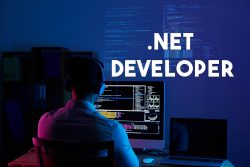 Dot Net Development Company