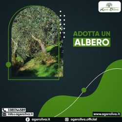 Adotta Un Albero