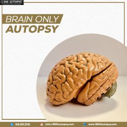 Brain Only Autopsy