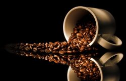 Provide Best Quality of Coffee Online