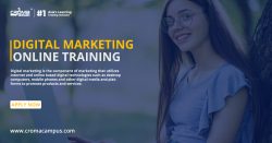 Fundamentals Of Digital Marketing: Career Options & Growth Prospects