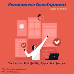 eCommerce development company