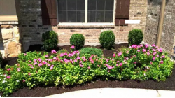 Get Flower Bed Maintenance in Washington