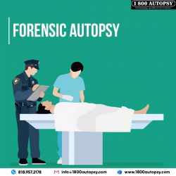 Forensic Autopsy