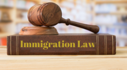 Trusted Immigration Law Attorneys New York