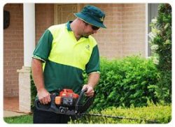 Lawn Mowing Mount Evelyn