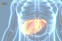 Liver Cancer Treatment in Mumbai