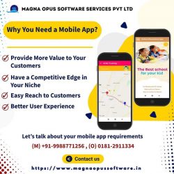 Why Your Business Need a Mobile App?