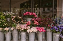 Shlomo Yoshai Best Florist in Israel