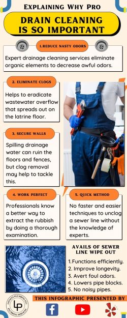 Professional Drain Cleaning Service