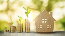 Professional Enterprise Real Estate Agent