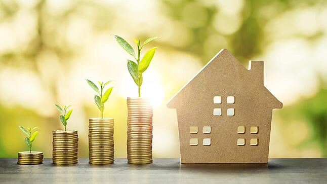 Professional Enterprise Real Estate Agent