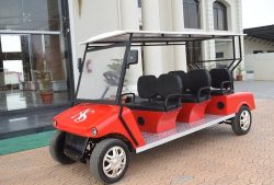 Golf Cart Service Anderson SC – RogersEV