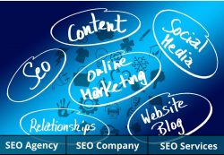 SEO Services Provider in Delhi